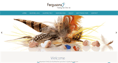 Desktop Screenshot of fergusonshearingaidclinic.ie